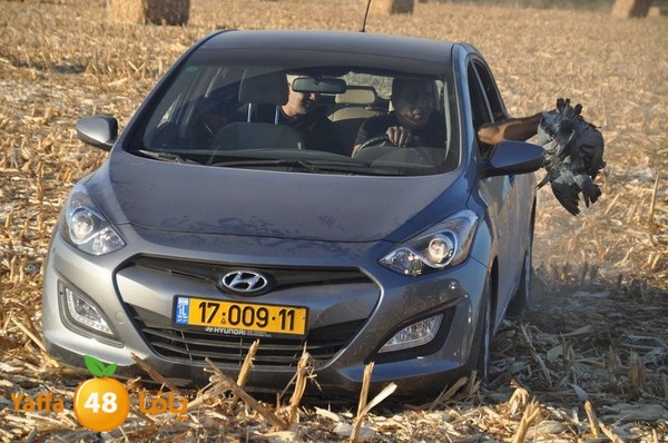 7amam lud monir 908 (51).JPG